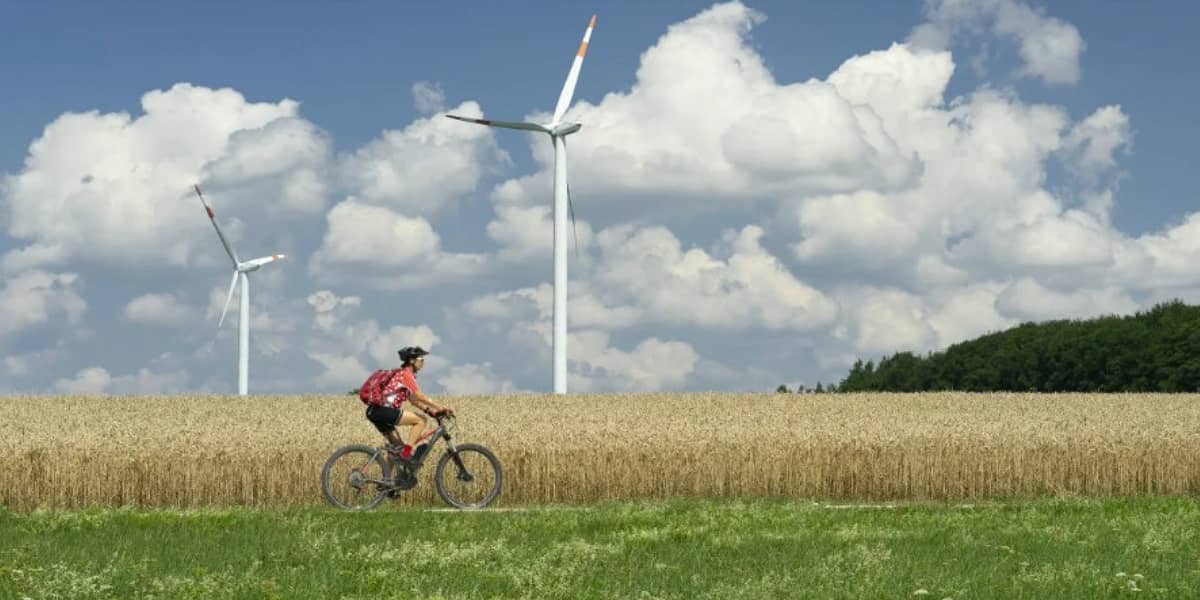 The role of engagement in sustainable investing